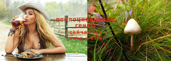 spice Белоозёрский