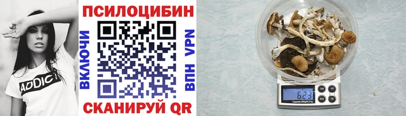 Купить где  Бикин  Псилоцибиновые грибы мухоморы 